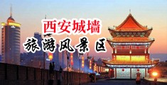 在线操bAv中国陕西-西安城墙旅游风景区